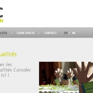 Page d'actualité du site web Carodec