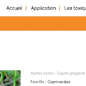 Page d'un champignon sur le site Champ'id