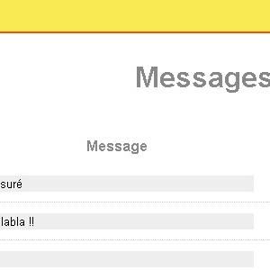 Partie administration du site Chat'PSM