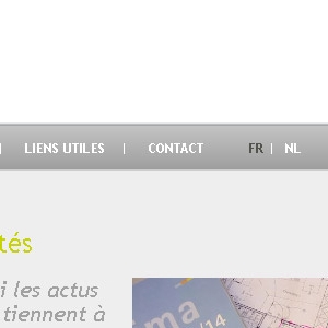 Page d'actualité du site web Elico