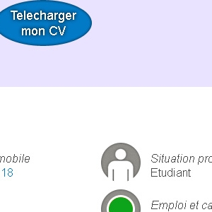 Site web de mon ancien CV version ordinateur