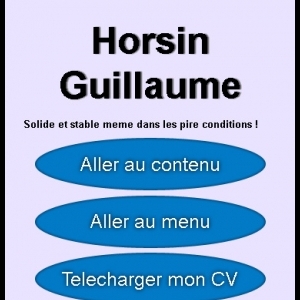 Site web de mon ancien CV version mobile