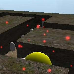 Image pendant le jeux